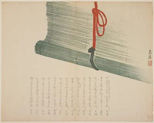 Bamboo blind